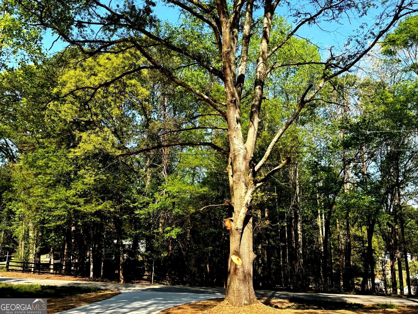 921 Silver Dollar Road Maysville - Photo 20