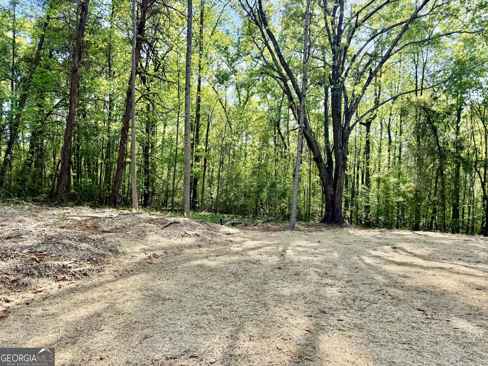 921 Silver Dollar Road Maysville - Photo 22