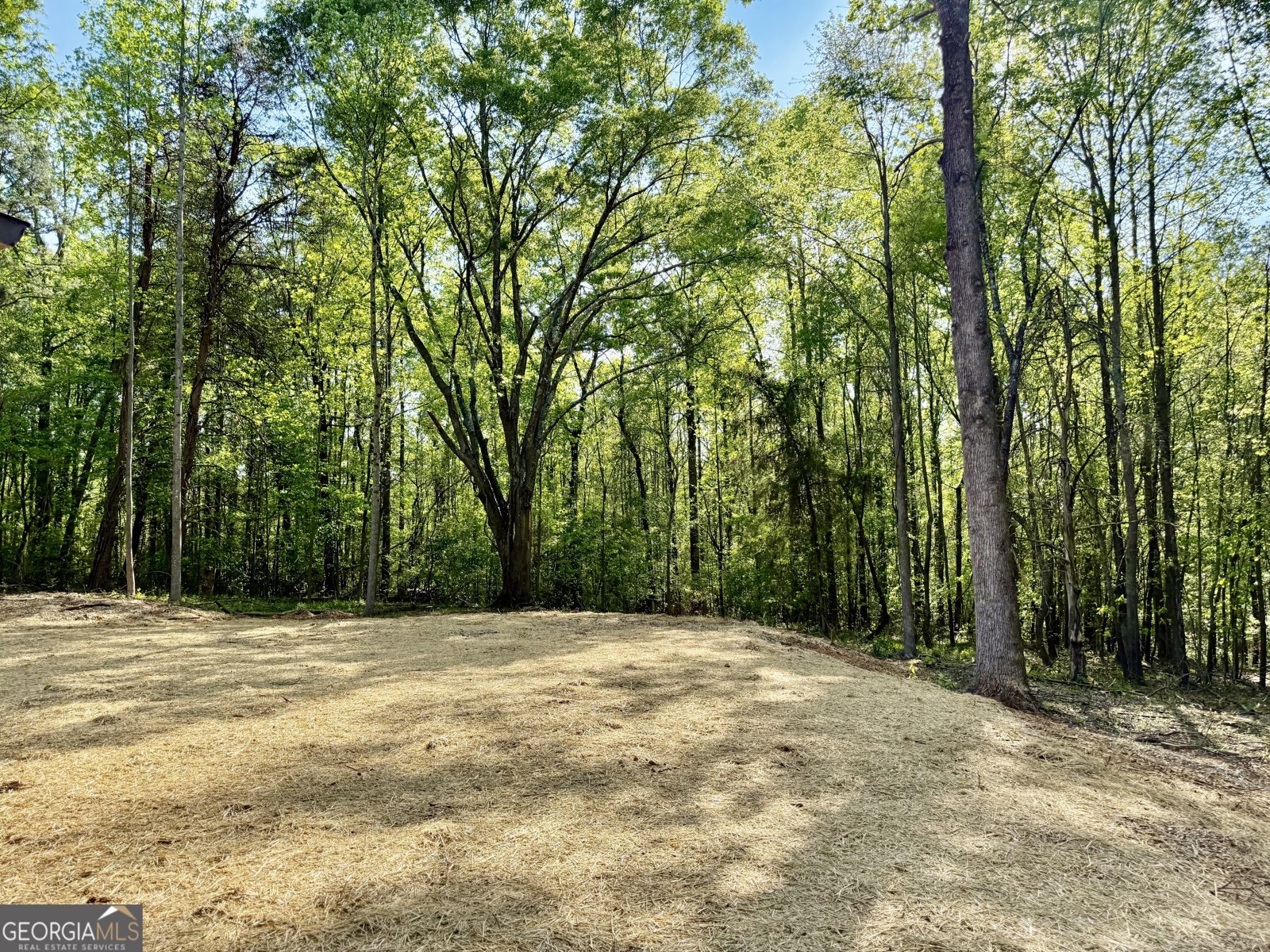 921 Silver Dollar Road Maysville - Photo 25