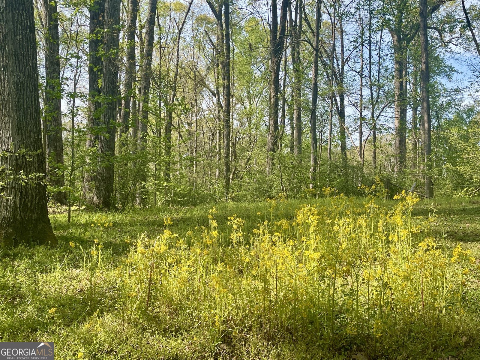 12005-A Hutcheson Ferry Road Chattahoochee Hills - Photo 36