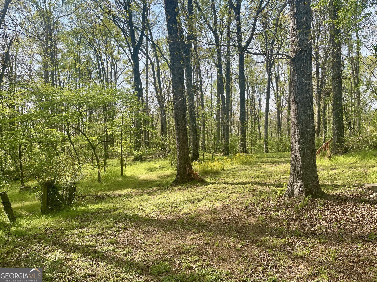 12005-A Hutcheson Ferry Road Chattahoochee Hills - Photo 37