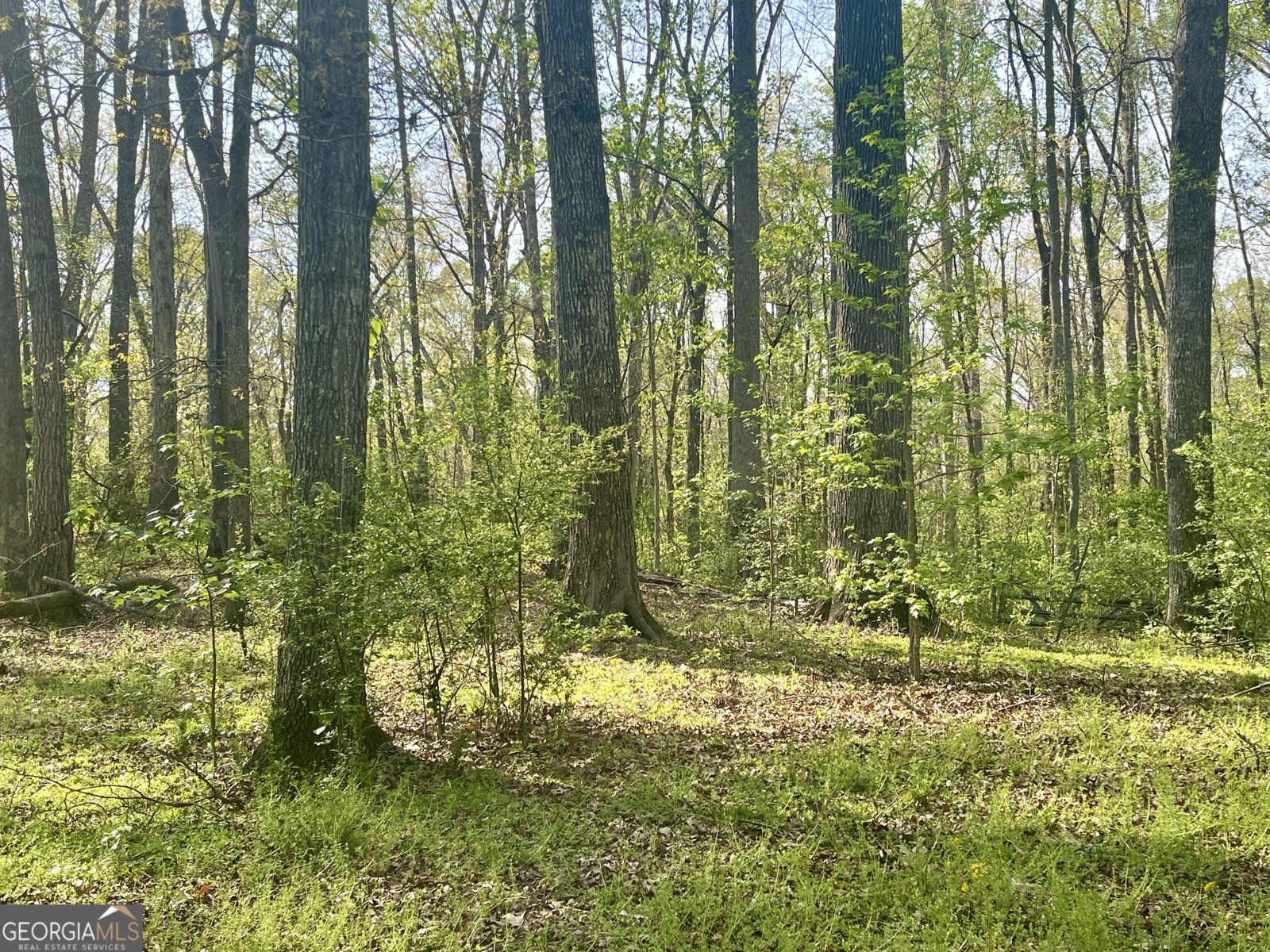 12005-A Hutcheson Ferry Road Chattahoochee Hills - Photo 39