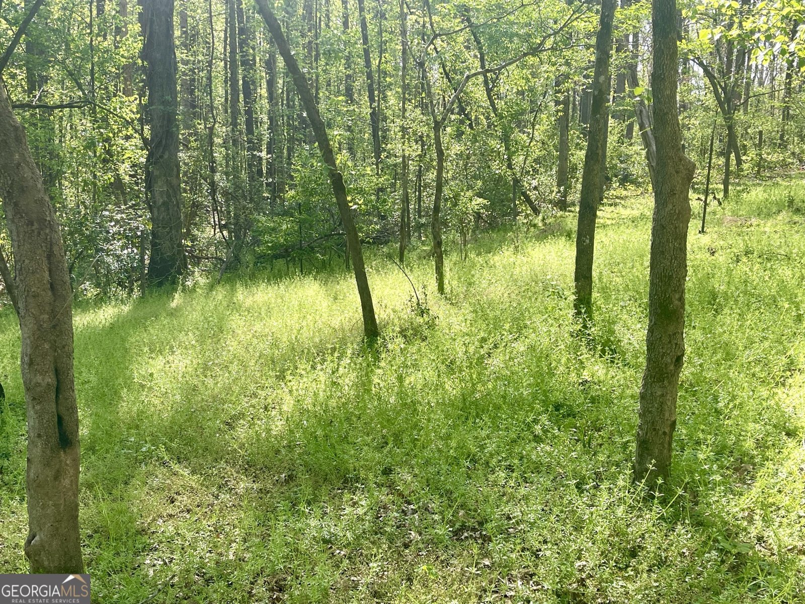 12005-A Hutcheson Ferry Road Chattahoochee Hills - Photo 40