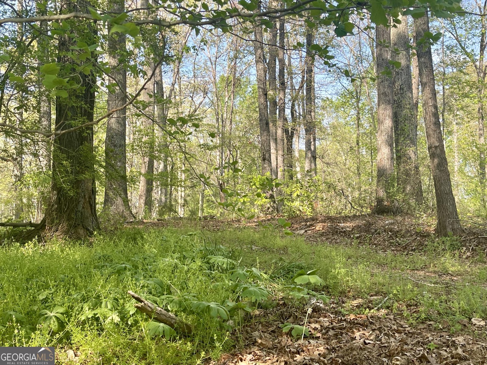 12005-A Hutcheson Ferry Road Chattahoochee Hills - Photo 41