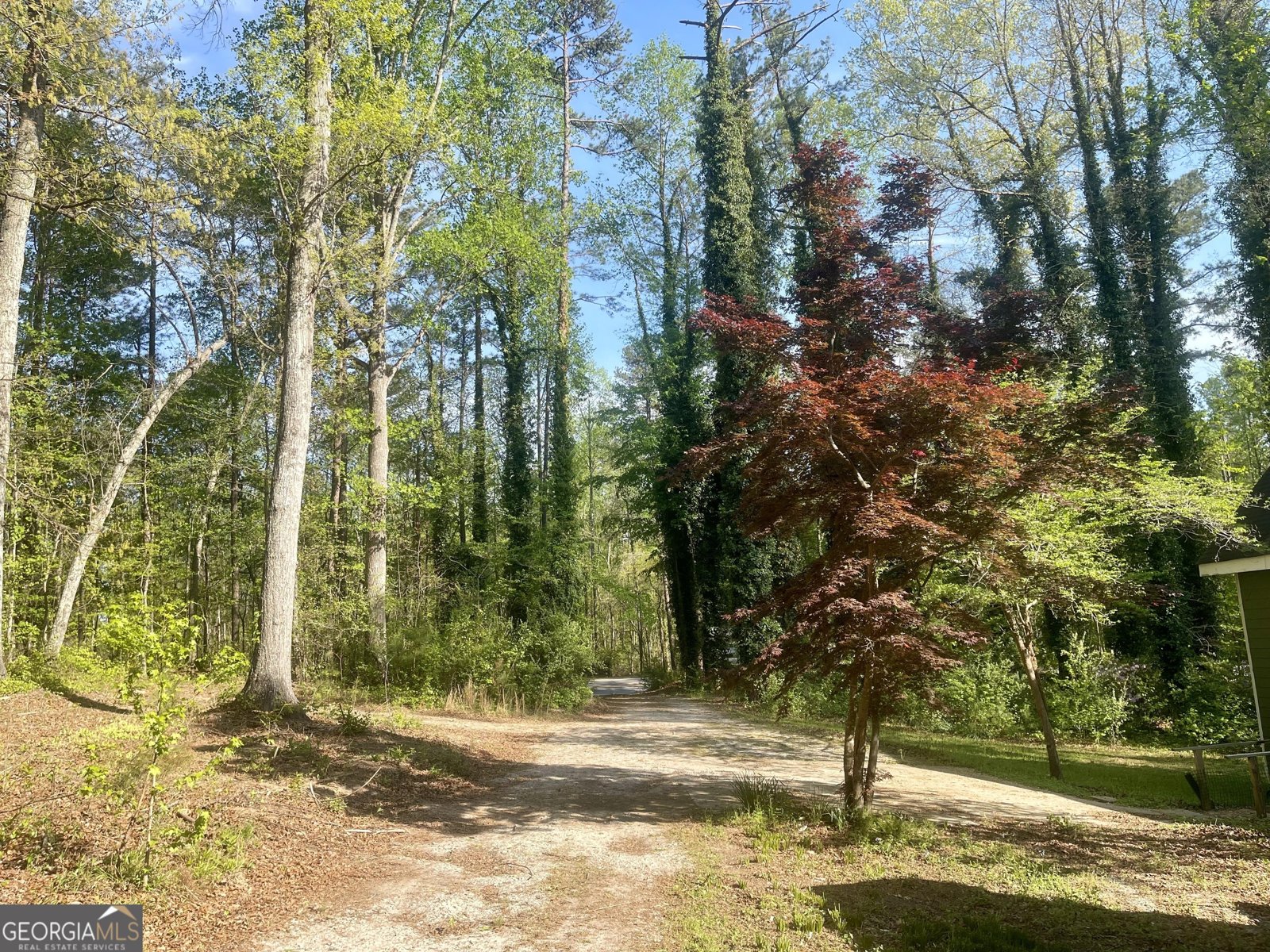 12005-A Hutcheson Ferry Road Chattahoochee Hills - Photo 42