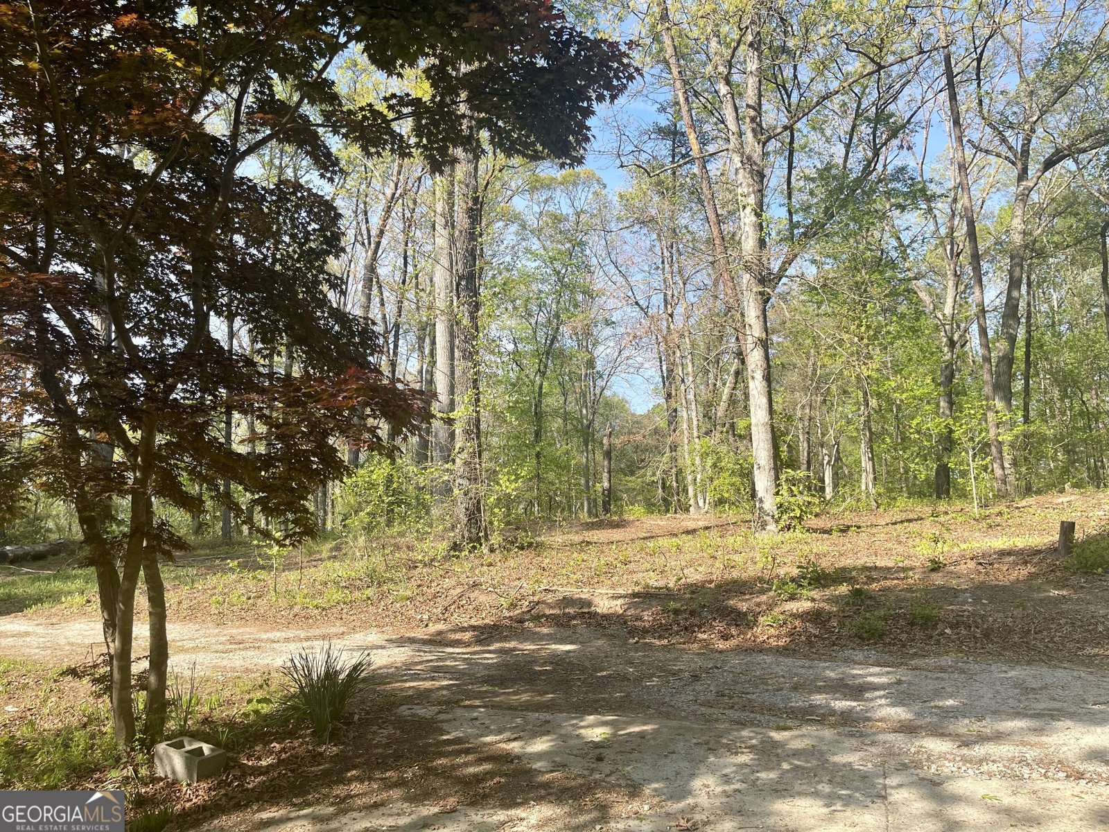 12005-A Hutcheson Ferry Road Chattahoochee Hills - Photo 43