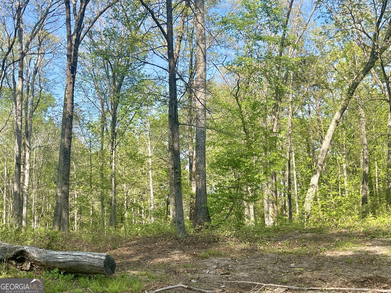 12005-A Hutcheson Ferry Road Chattahoochee Hills - Photo 44