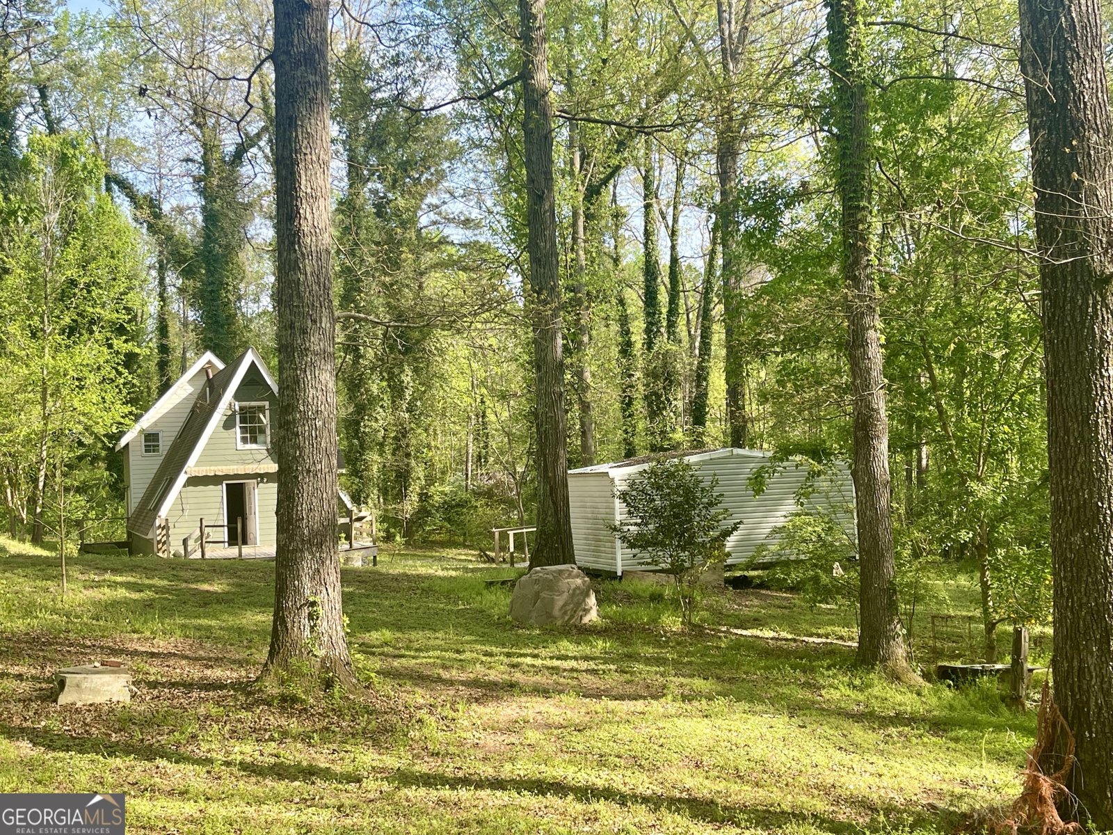 12005-A Hutcheson Ferry Road Chattahoochee Hills - Photo 45