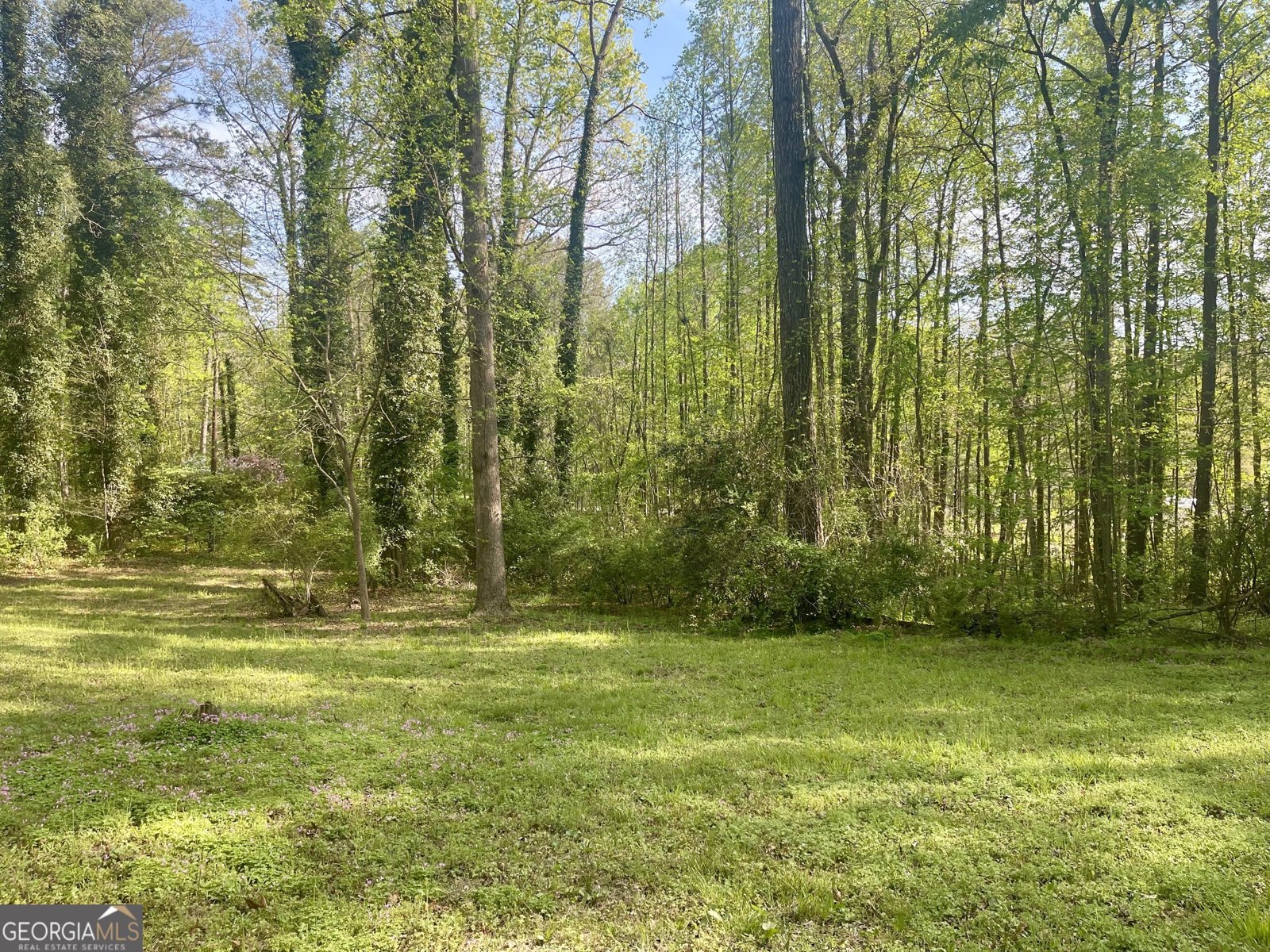 12005-A Hutcheson Ferry Road Chattahoochee Hills - Photo 46