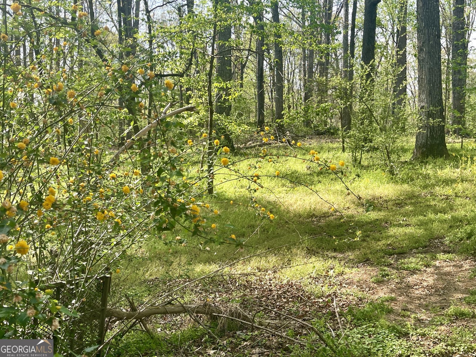 12005-A Hutcheson Ferry Road Chattahoochee Hills - Photo 47