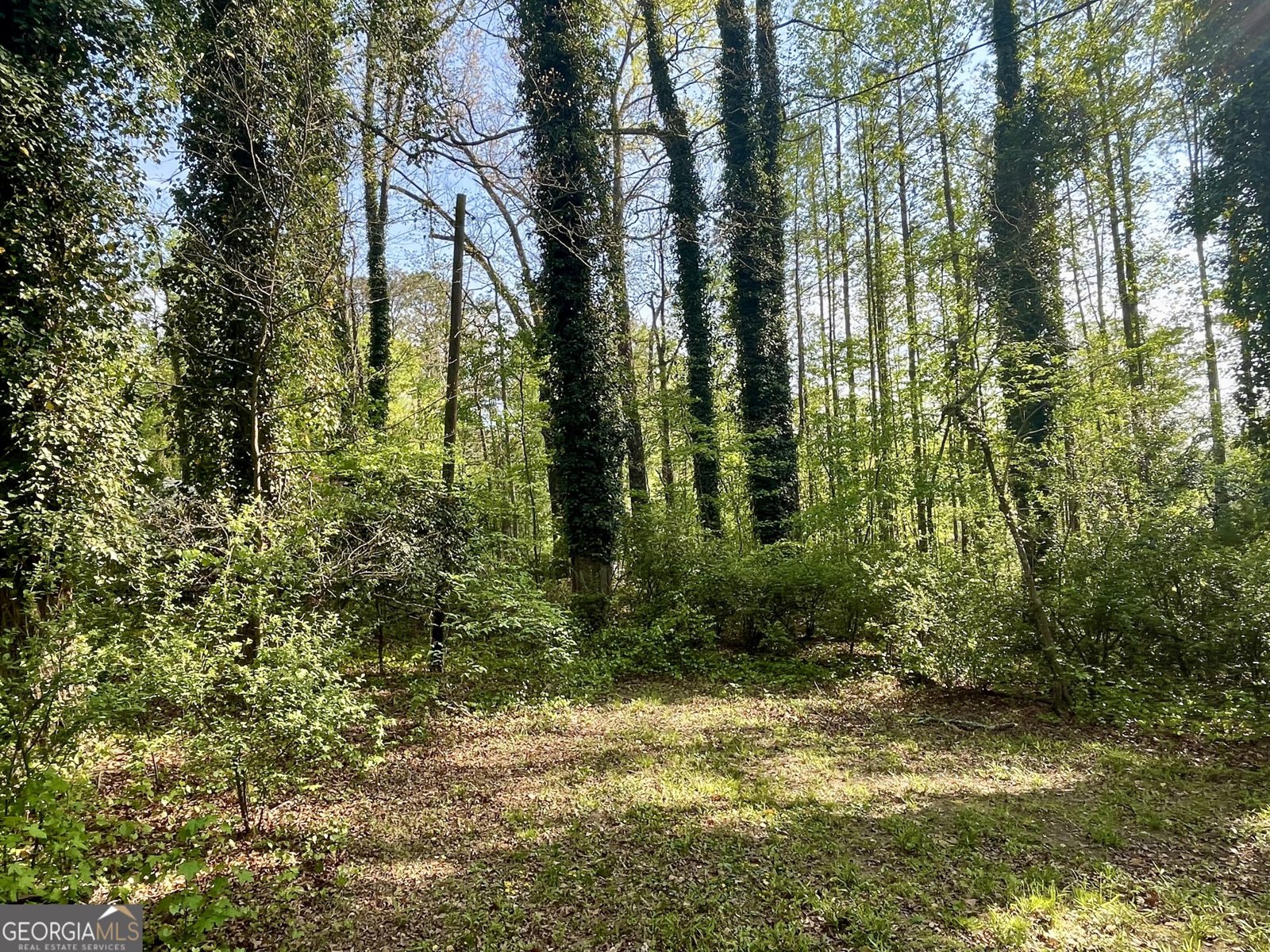 12005-A Hutcheson Ferry Road Chattahoochee Hills - Photo 48