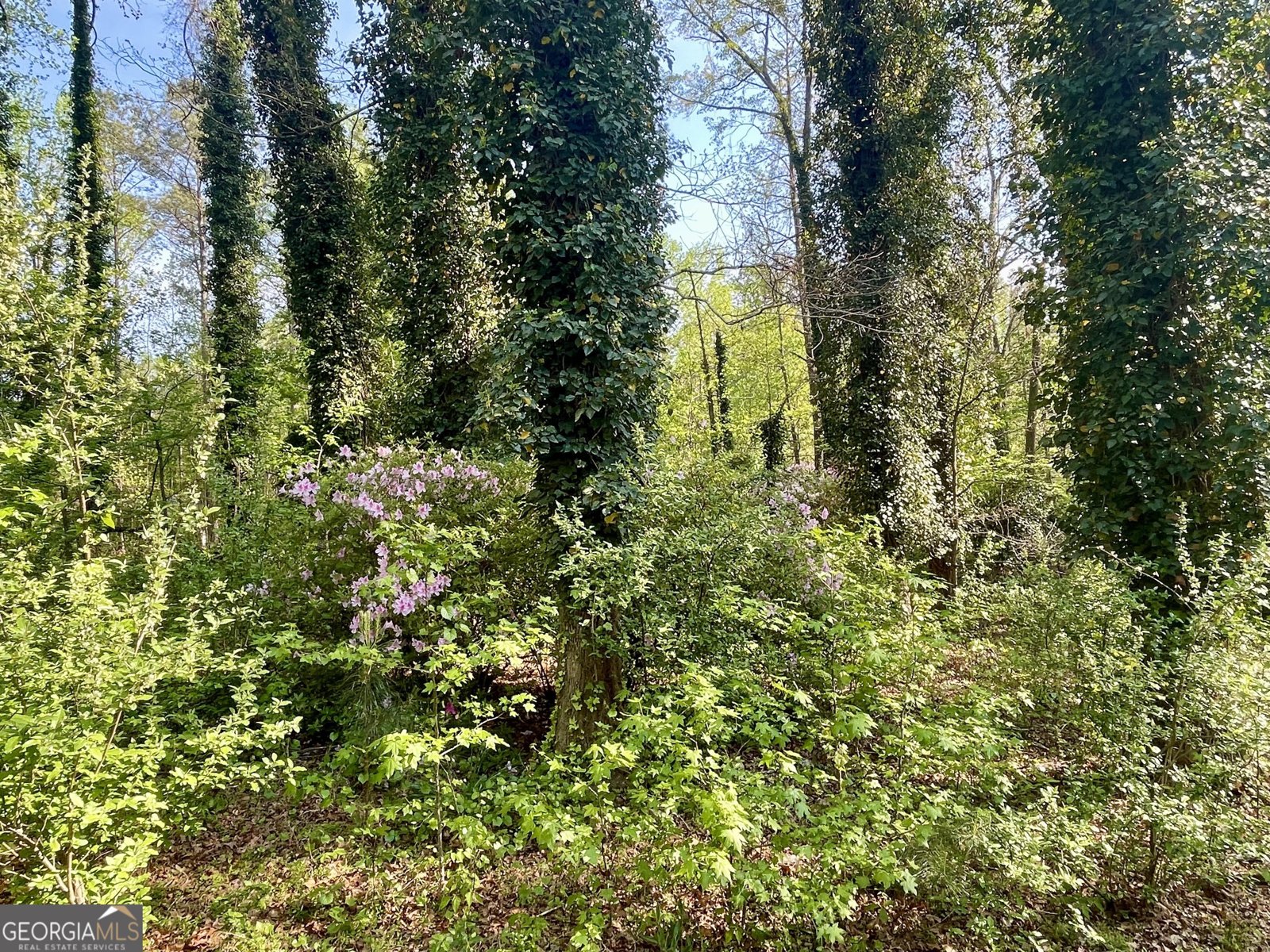 12005-A Hutcheson Ferry Road Chattahoochee Hills - Photo 49