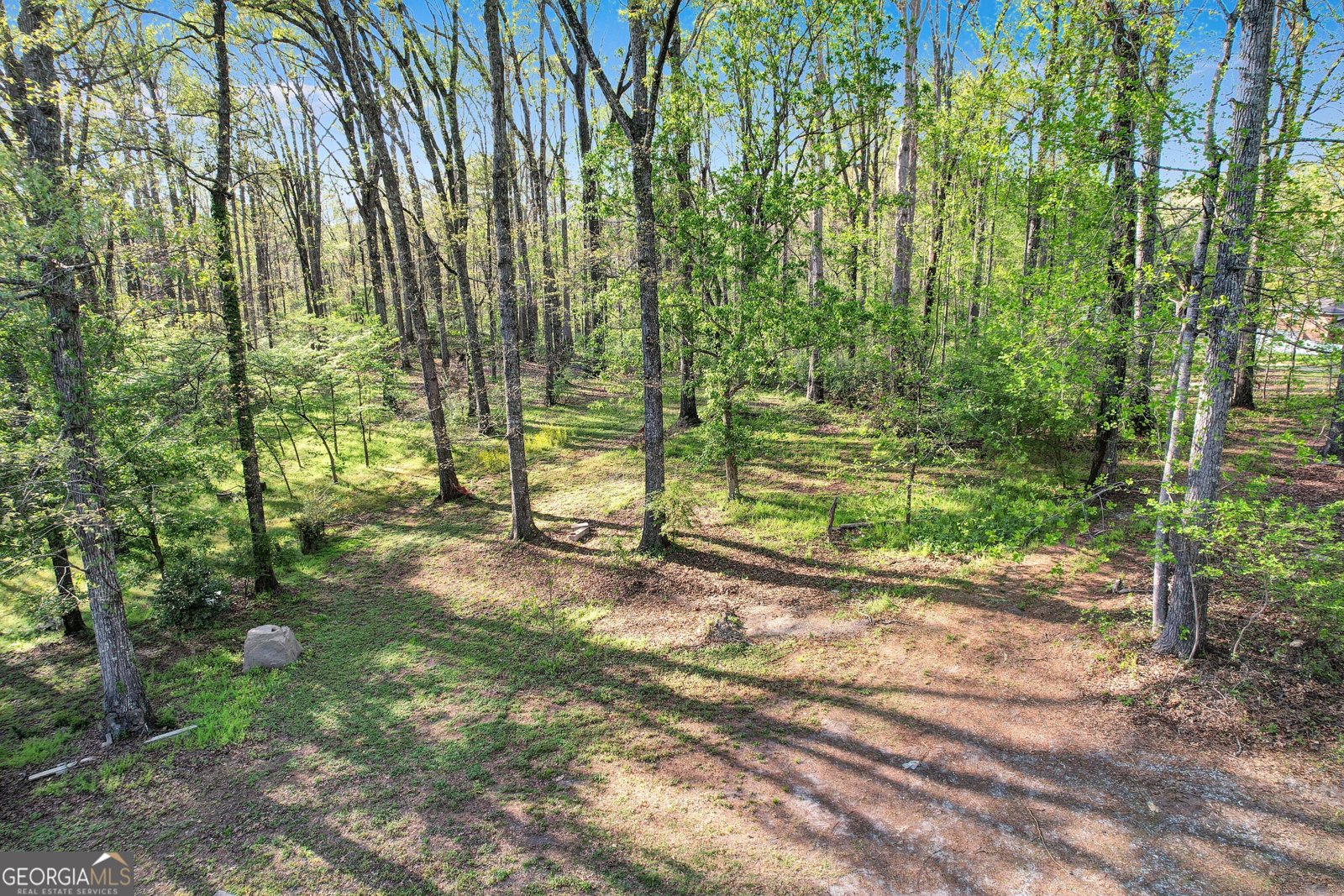 12005-A Hutcheson Ferry Road Chattahoochee Hills - Photo 50