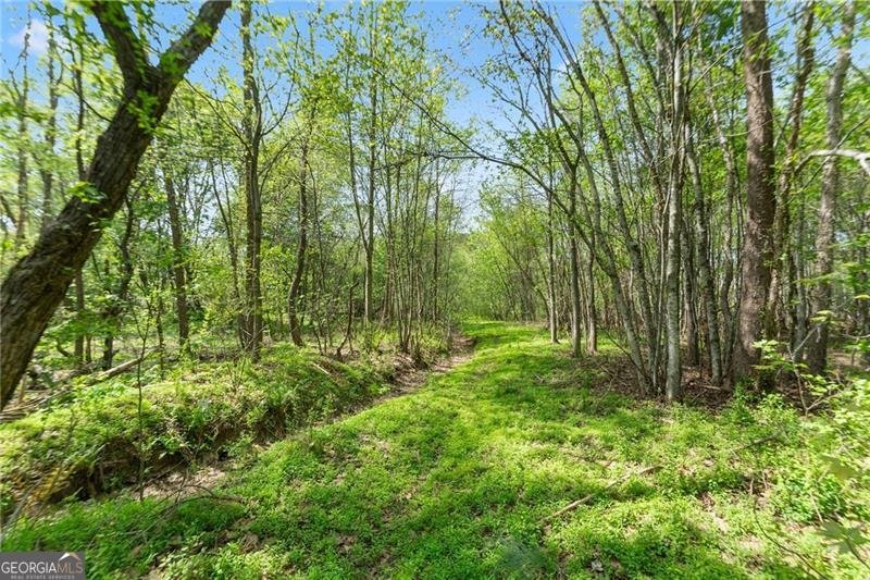 319 River Valley Road Dawsonville - Photo 55