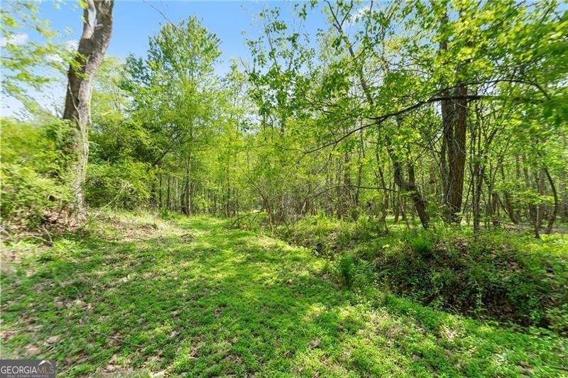 319 River Valley Road Dawsonville - Photo 56