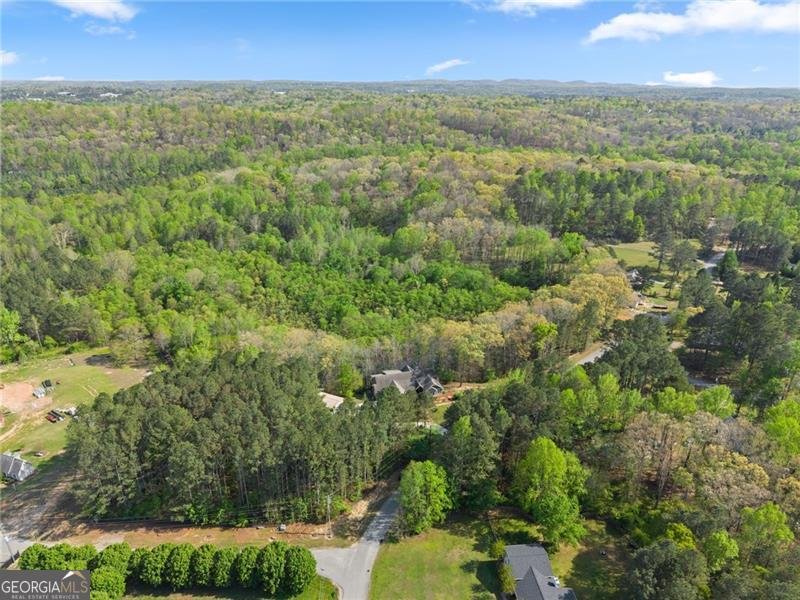 319 River Valley Road Dawsonville - Photo 58