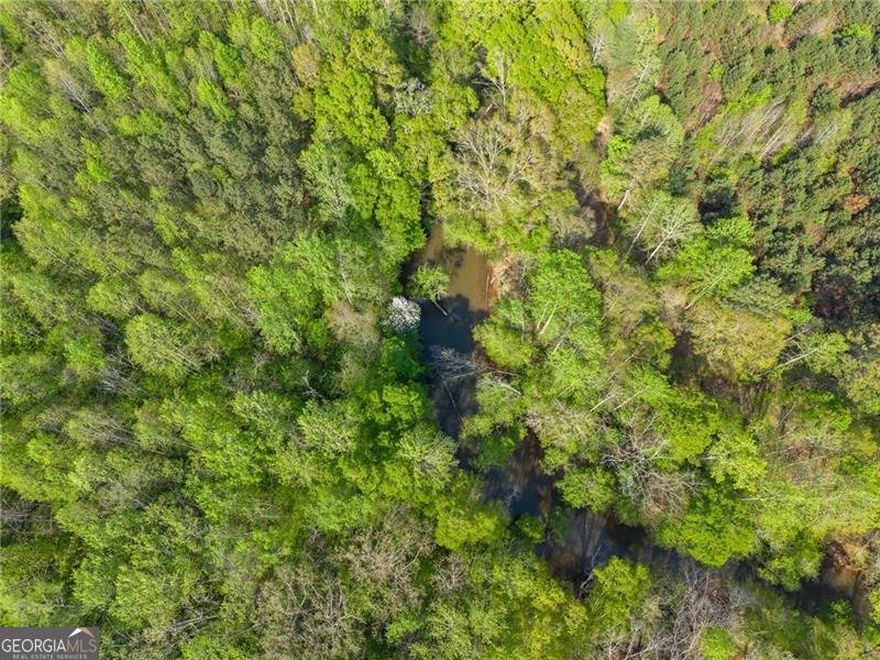 319 River Valley Road Dawsonville - Photo 59