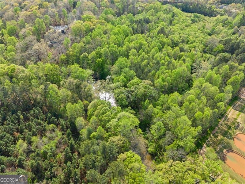 319 River Valley Road Dawsonville - Photo 60