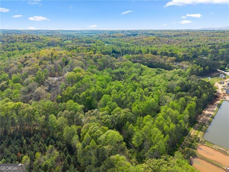 319 River Valley Road Dawsonville - Photo 61