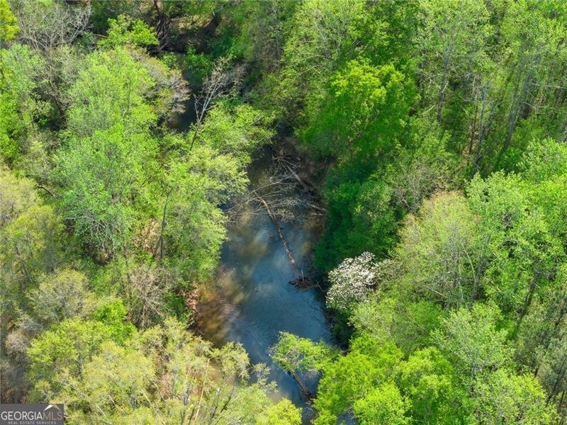 319 River Valley Road Dawsonville - Photo 62