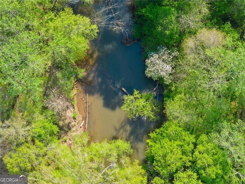 319 River Valley Road Dawsonville - Photo 63