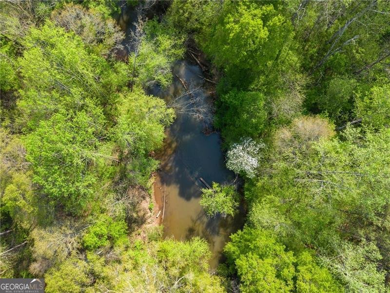 319 River Valley Road Dawsonville - Photo 67