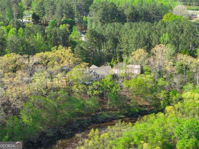 319 River Valley Road Dawsonville - Photo 68