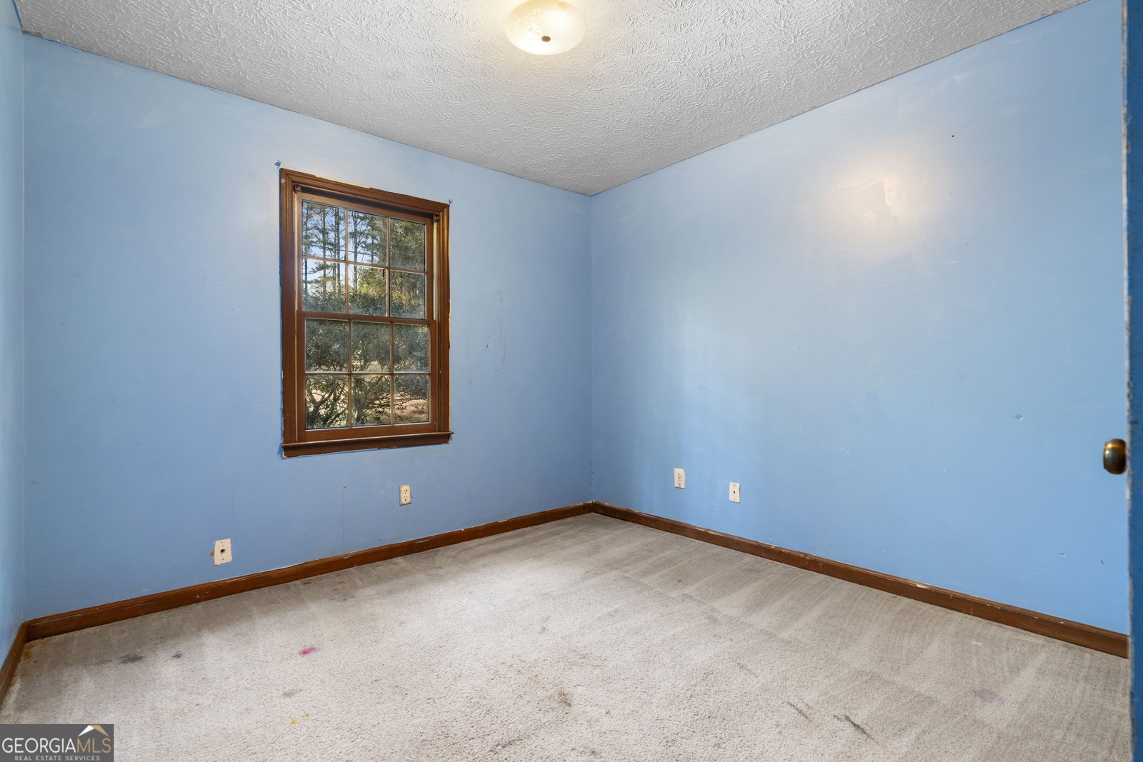 550 Henry Scott Road Ball Ground - Photo 12