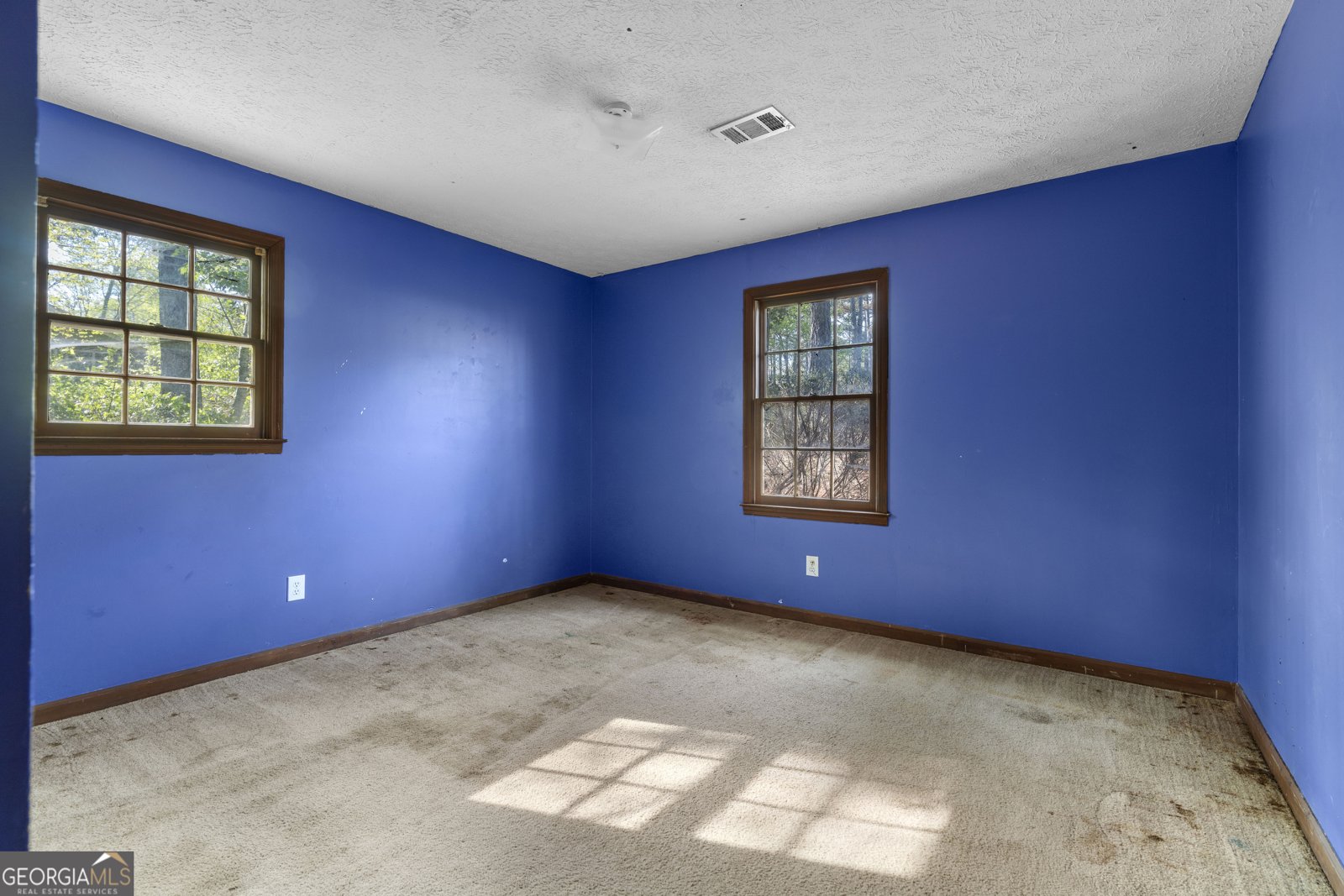 550 Henry Scott Road Ball Ground - Photo 14