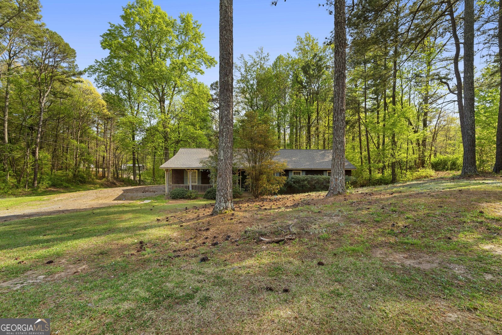 550 Henry Scott Road Ball Ground - Photo 19