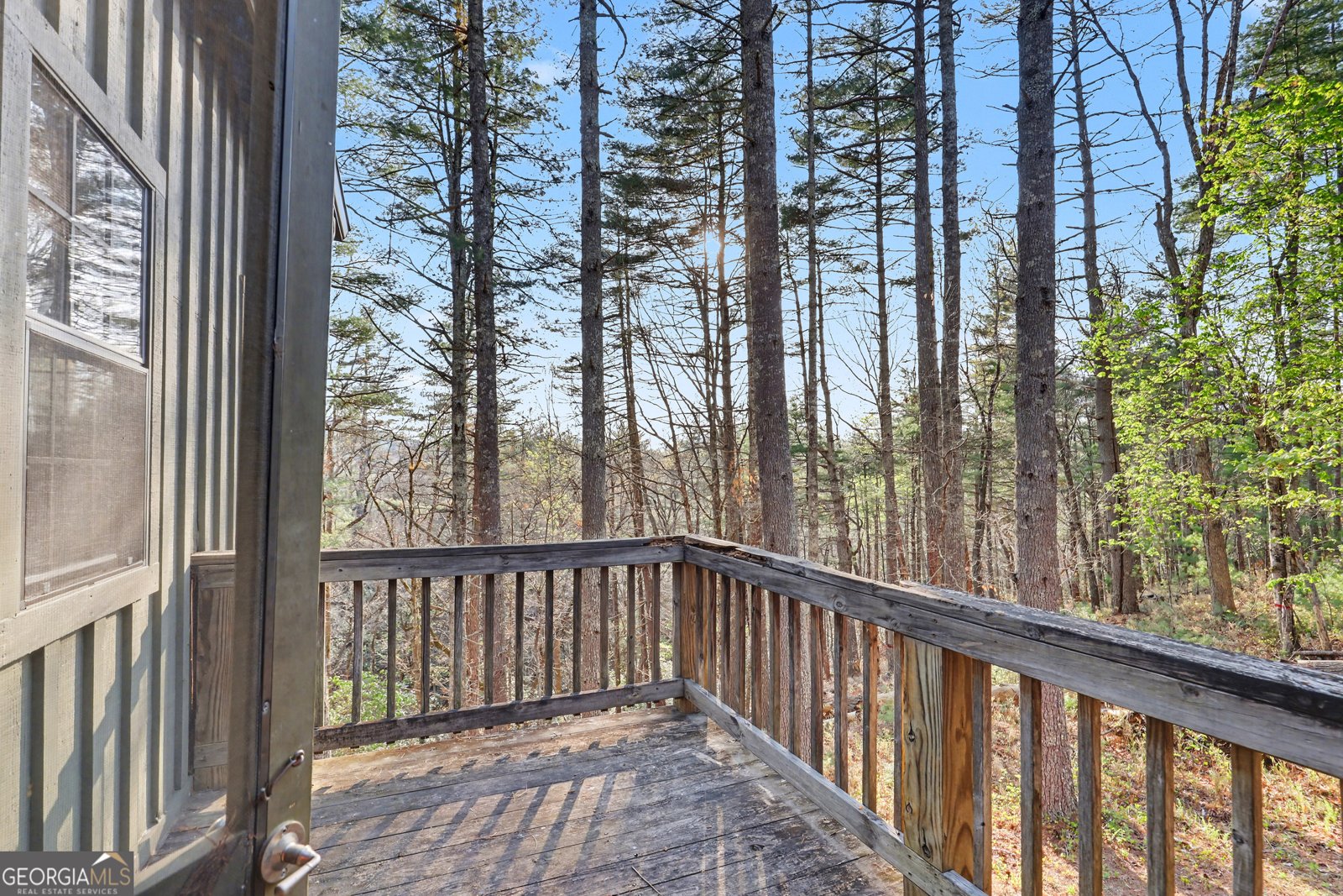 604 Tame Turkey Road Lakemont - Photo 35