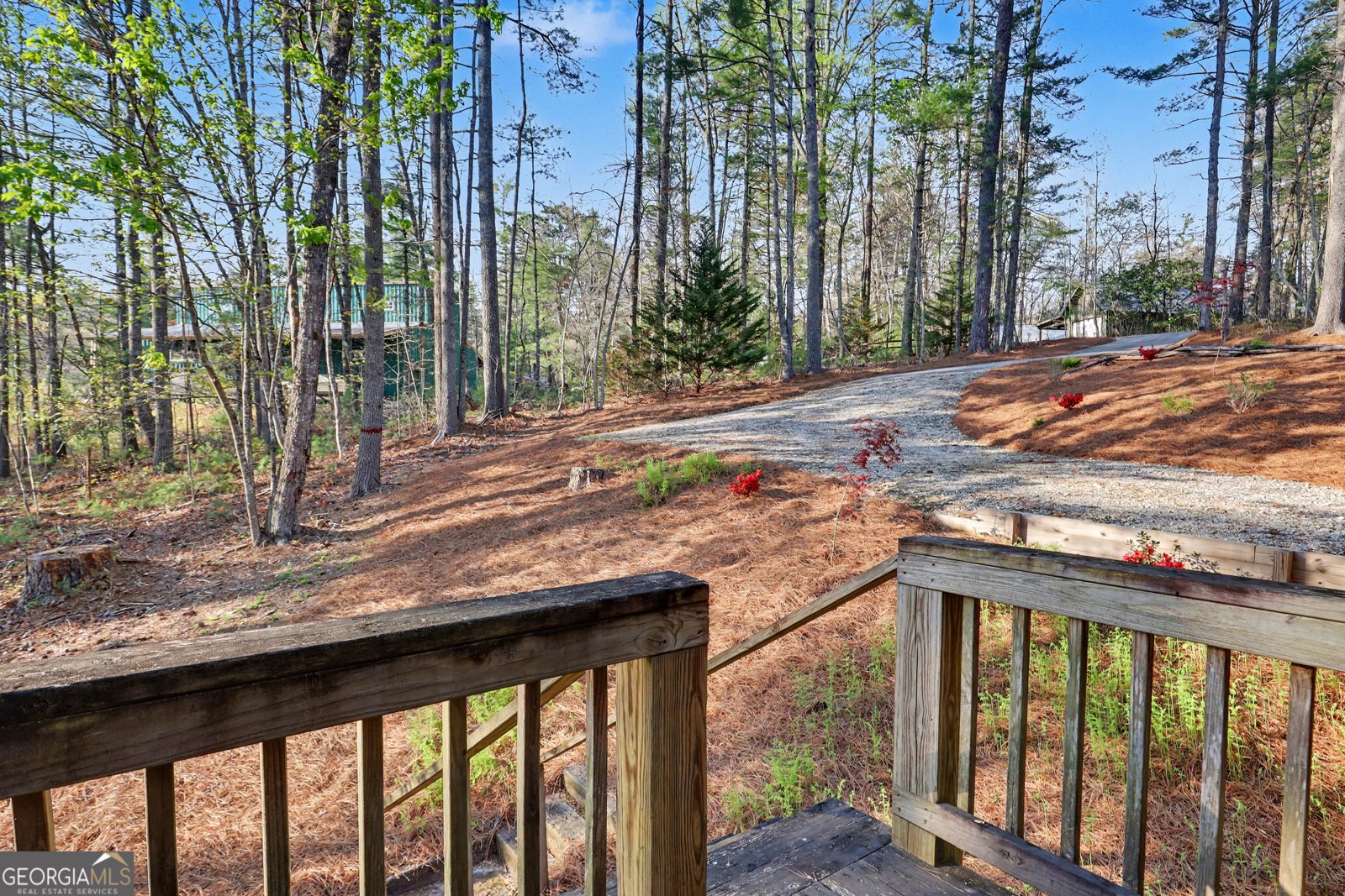 604 Tame Turkey Road Lakemont - Photo 36