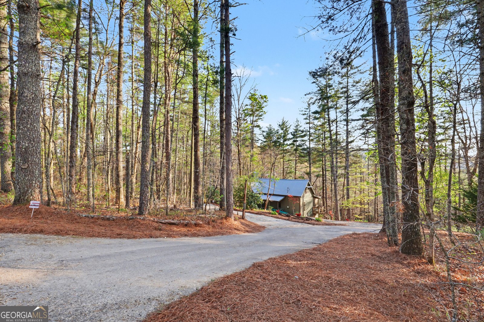 604 Tame Turkey Road Lakemont - Photo 49