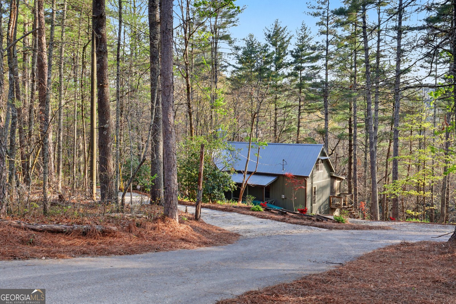 604 Tame Turkey Road Lakemont - Photo 50