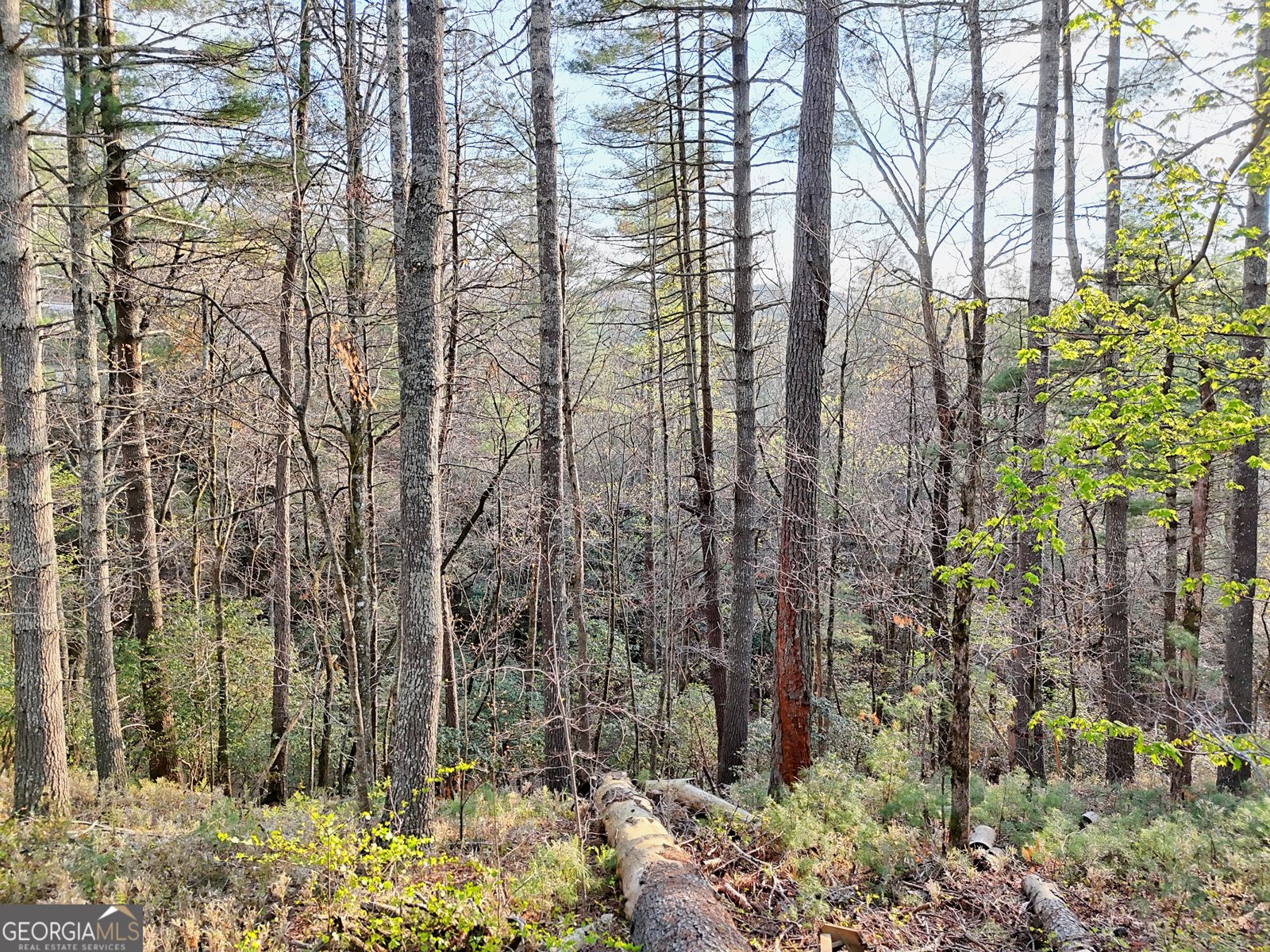 604 Tame Turkey Road Lakemont - Photo 54