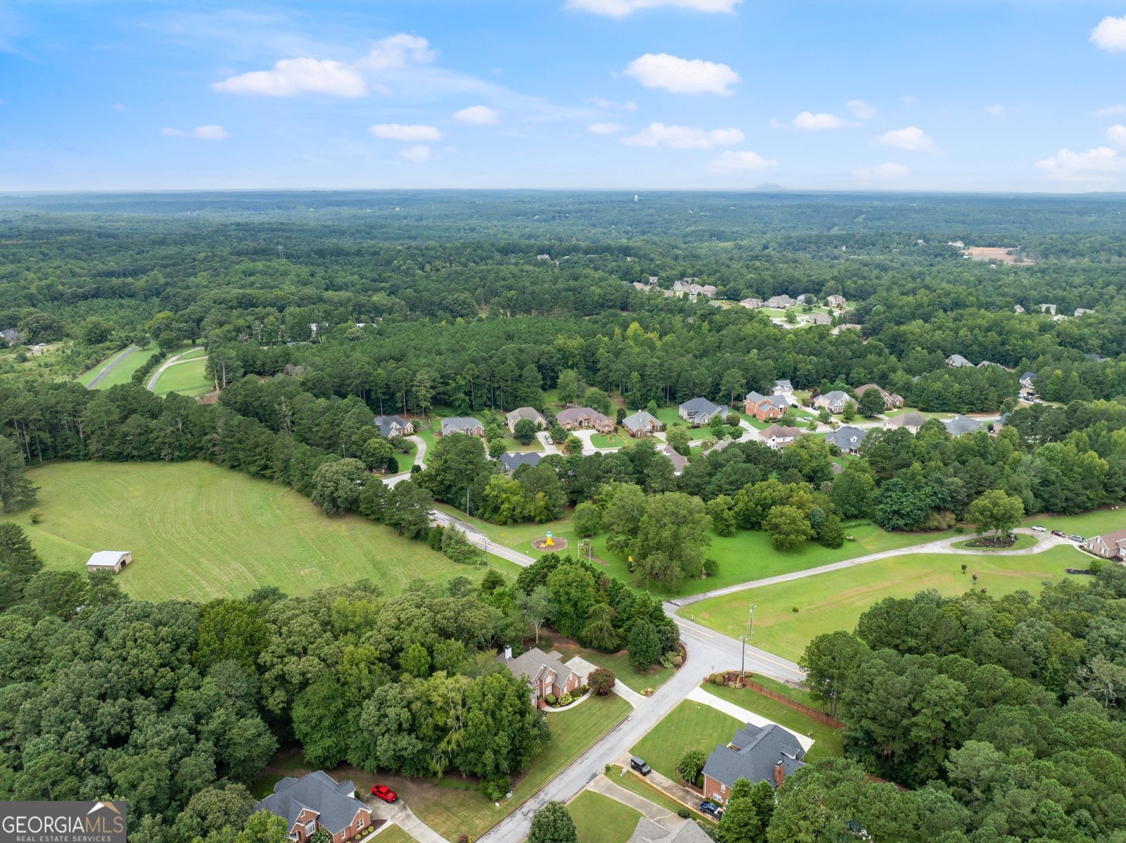 1503 Cleveland Court Loganville - Photo 67