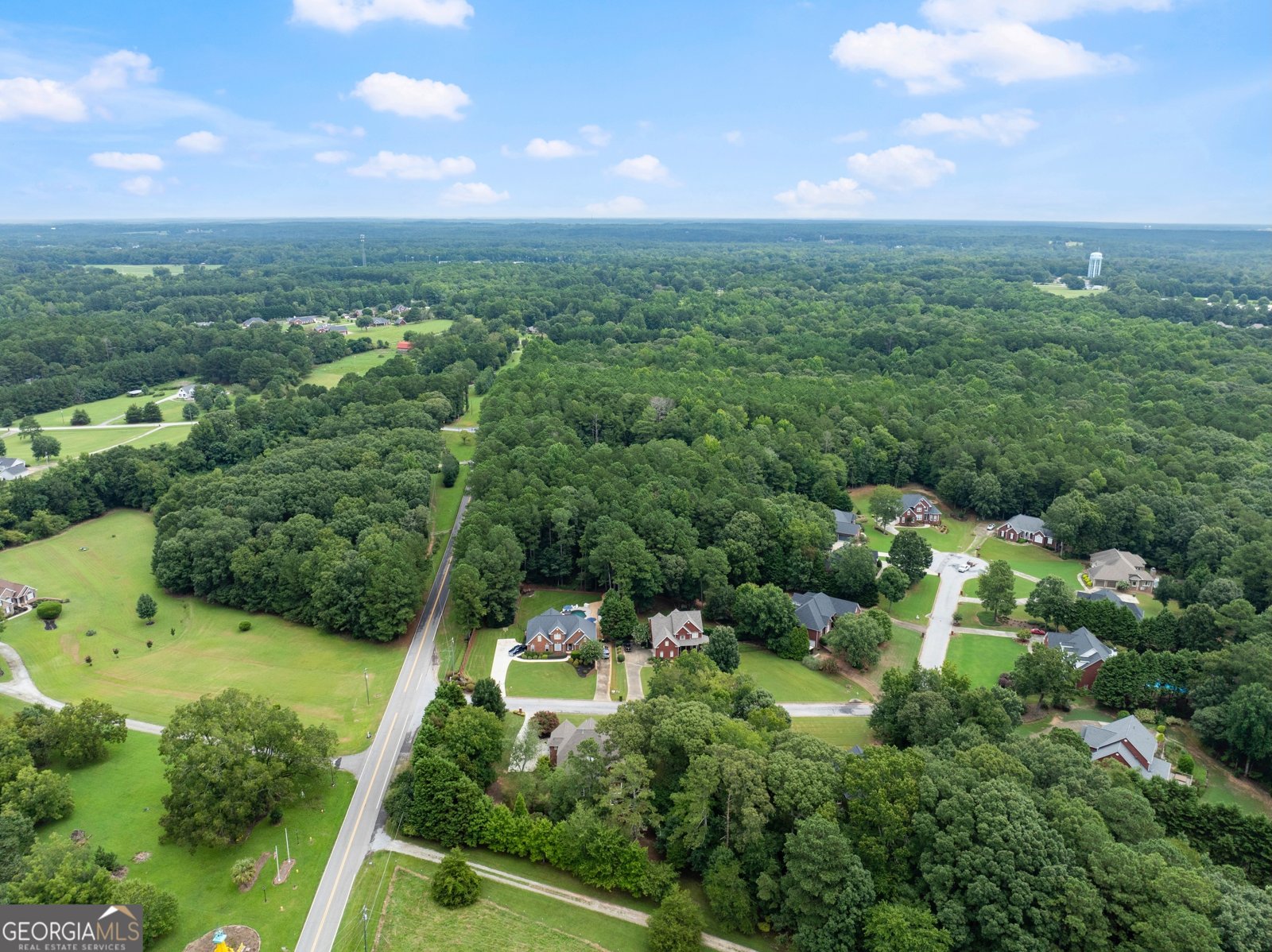1503 Cleveland Court Loganville - Photo 69