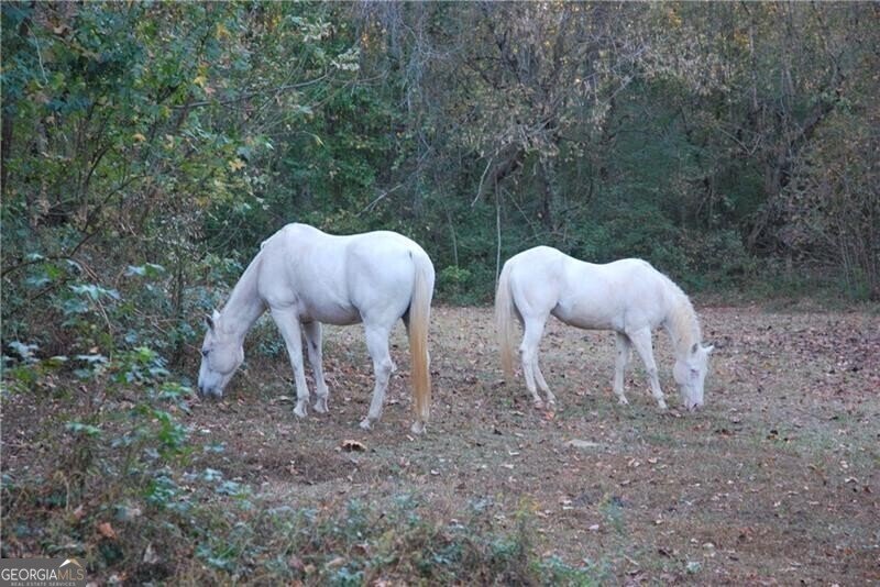 4271 Panthersville Road Ellenwood - Photo 11