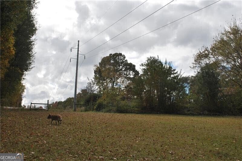 4271 Panthersville Road Ellenwood - Photo 12