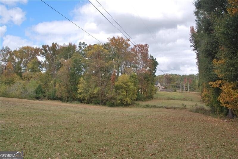 4271 Panthersville Road Ellenwood - Photo 14