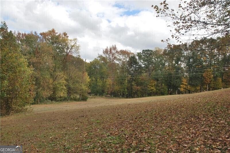 4271 Panthersville Road Ellenwood - Photo 15