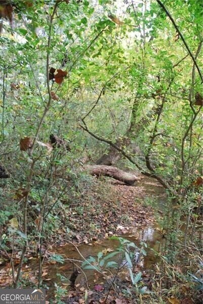 4271 Panthersville Road Ellenwood - Photo 19