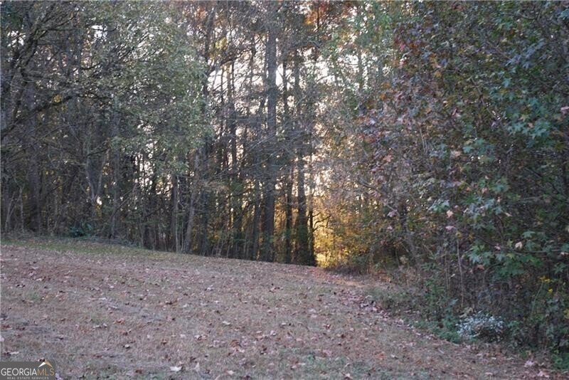 4271 Panthersville Road Ellenwood - Photo 22