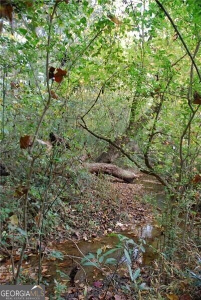 4271 Panthersville Road Ellenwood - Photo 28