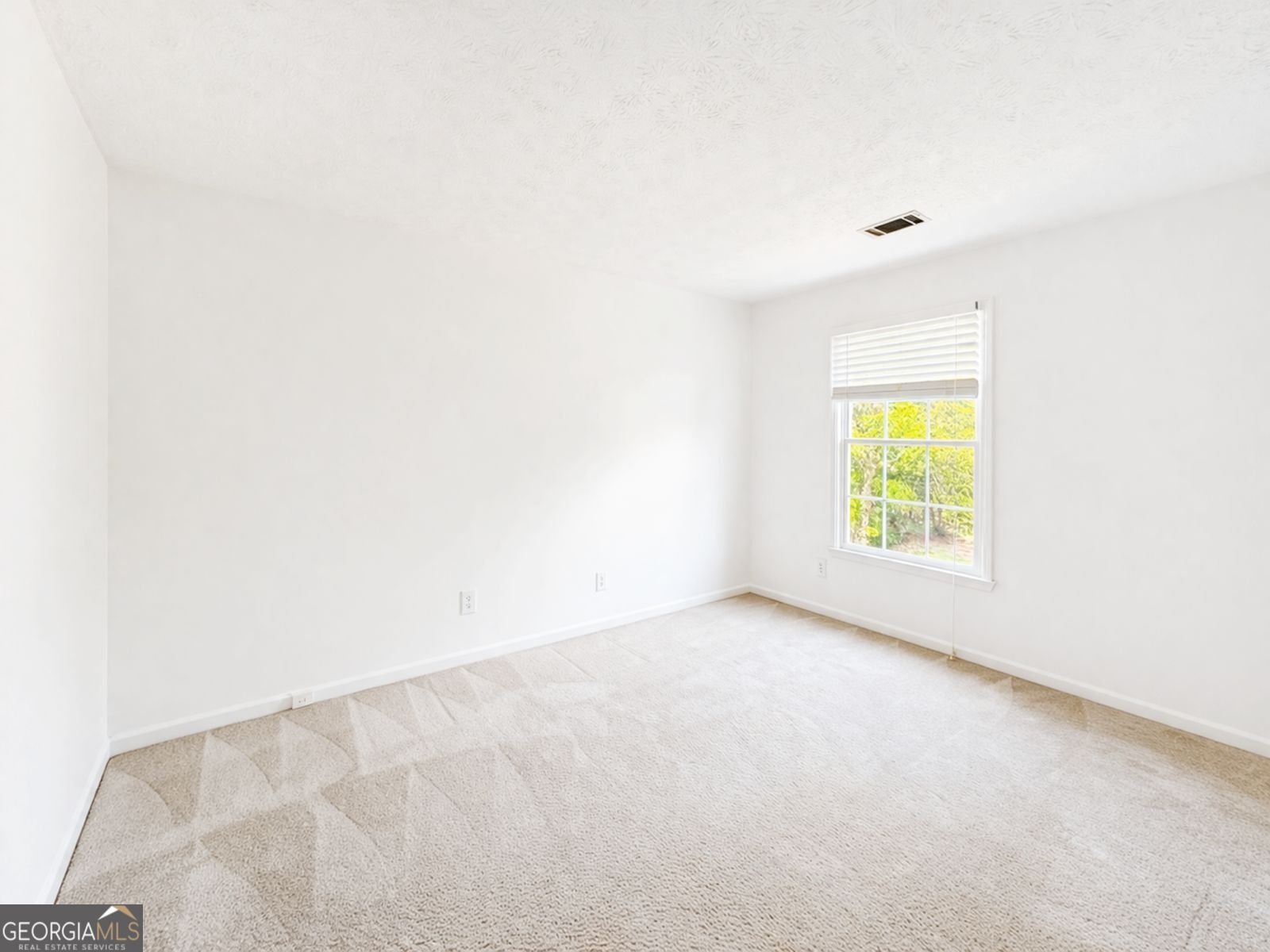 10020 Feather Sound Court Alpharetta - Photo 25