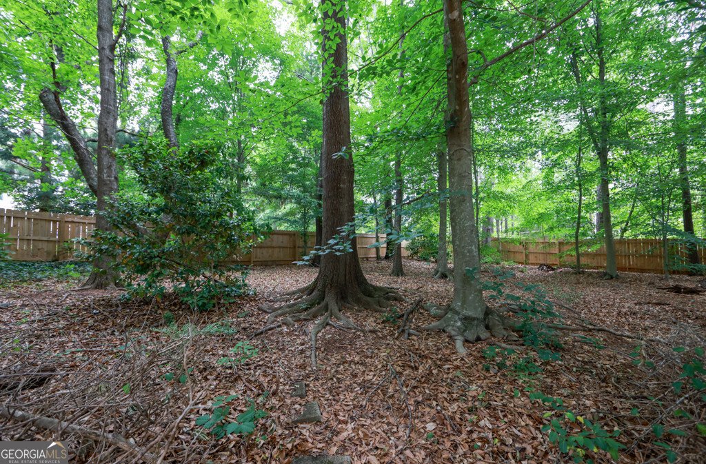 210 Chatfield Place Roswell - Photo 42