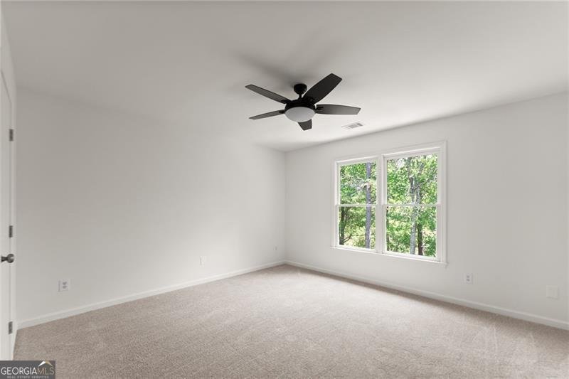 4030 Night Sky Lane Cumming - Photo 39