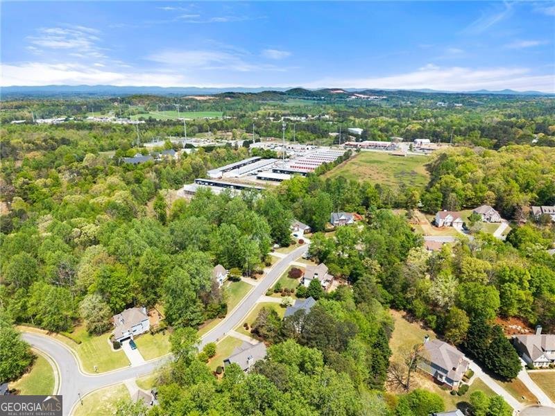 4030 Night Sky Lane Cumming - Photo 60