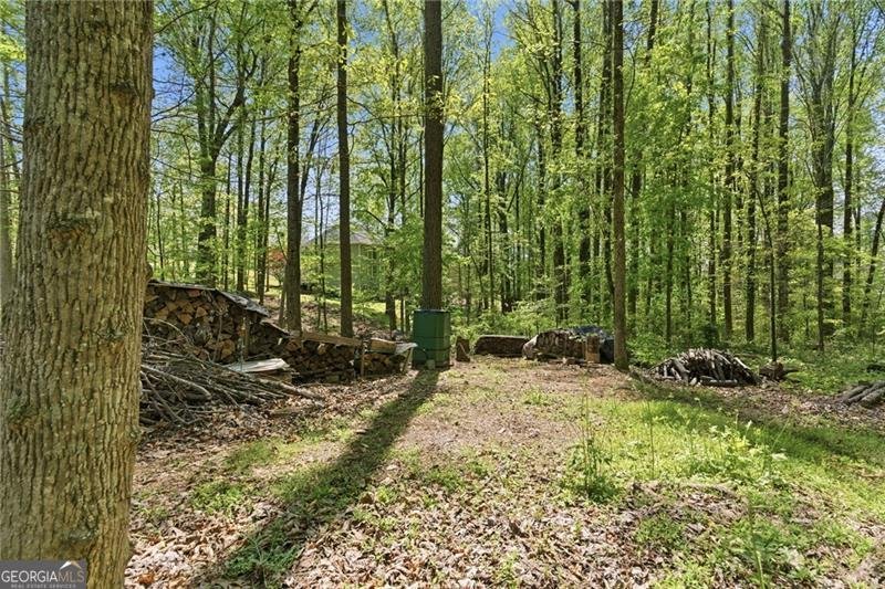 3530 Chicory Creek Drive Cumming - Photo 44