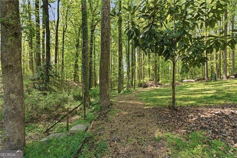 3530 Chicory Creek Drive Cumming - Photo 45